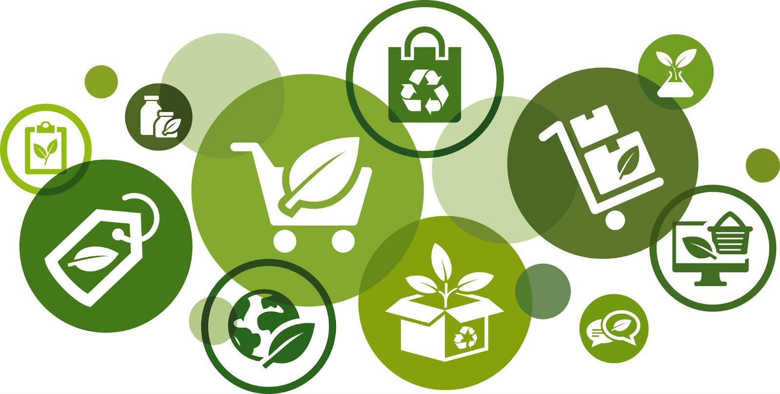 The Economics of Sustainable Packaging: Striking the Balance Between  Ecology and Commerce